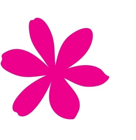 Petals Network NZ