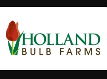 Holland Bulb