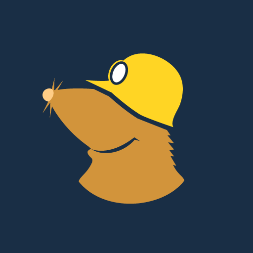 Mullvad vpn